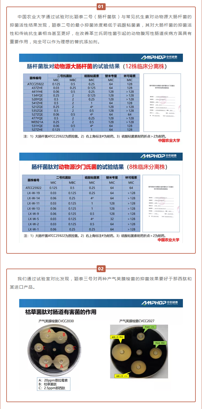 中农颖泰-助力河南省饲料工业协会2021年度峰会_03